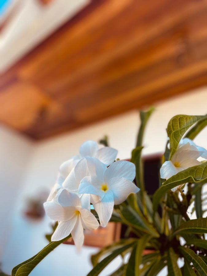 Beach Eco Stays Hotel Boutique Lagoinha ปาไรปาบา ภายนอก รูปภาพ