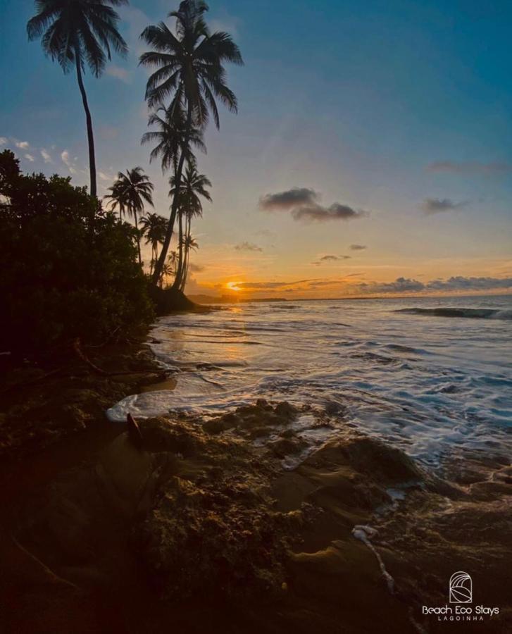 Beach Eco Stays Hotel Boutique Lagoinha ปาไรปาบา ภายนอก รูปภาพ